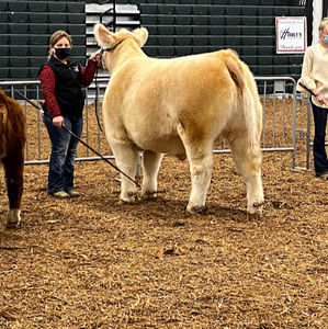 Meet your Posher, Renee